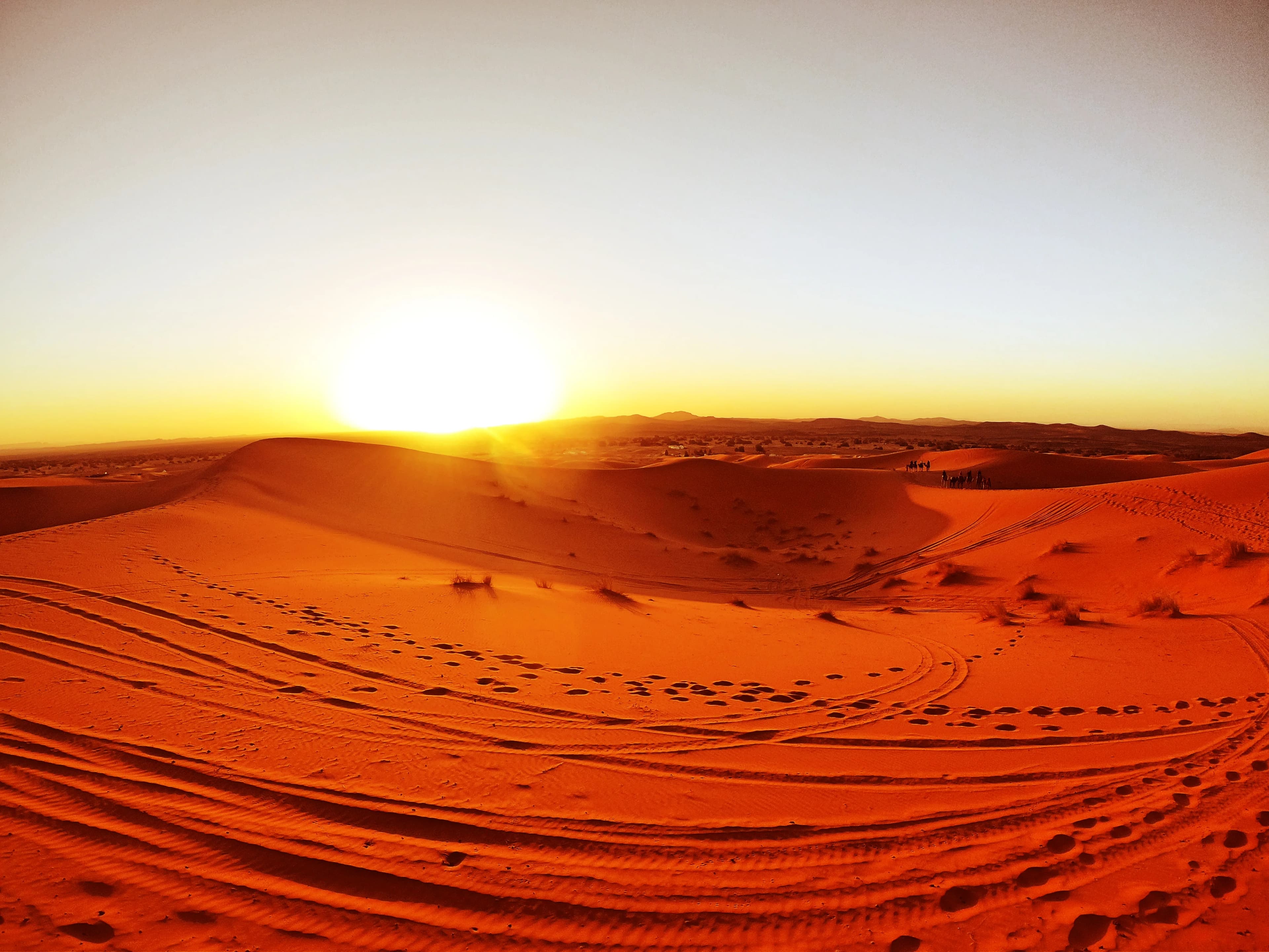 Desert sunset