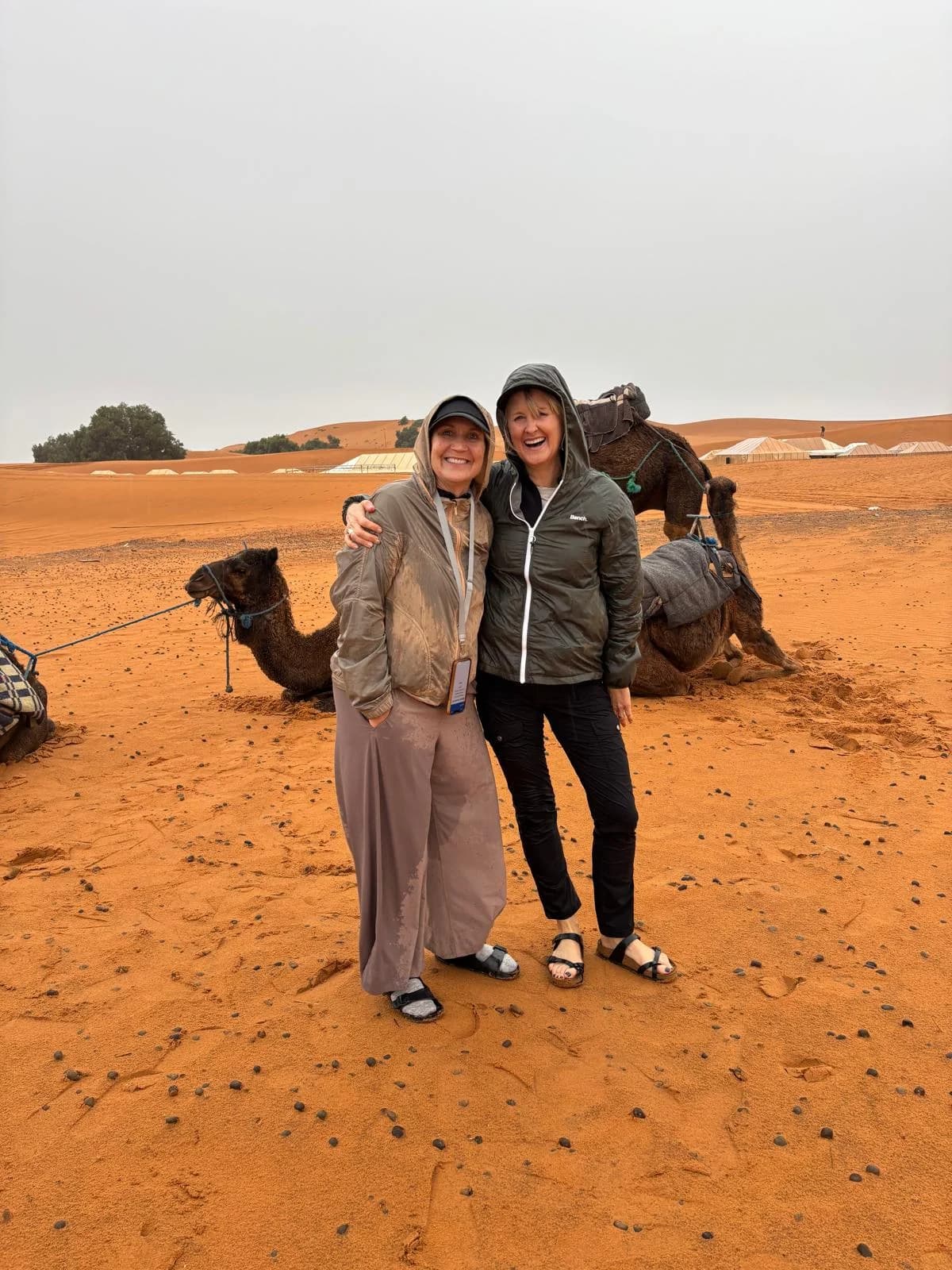 12-Day Morocco Cultural & Coastal Adventure from Agadir – Explore Imperial Cities, Blue Medina & Majestic Landscapes