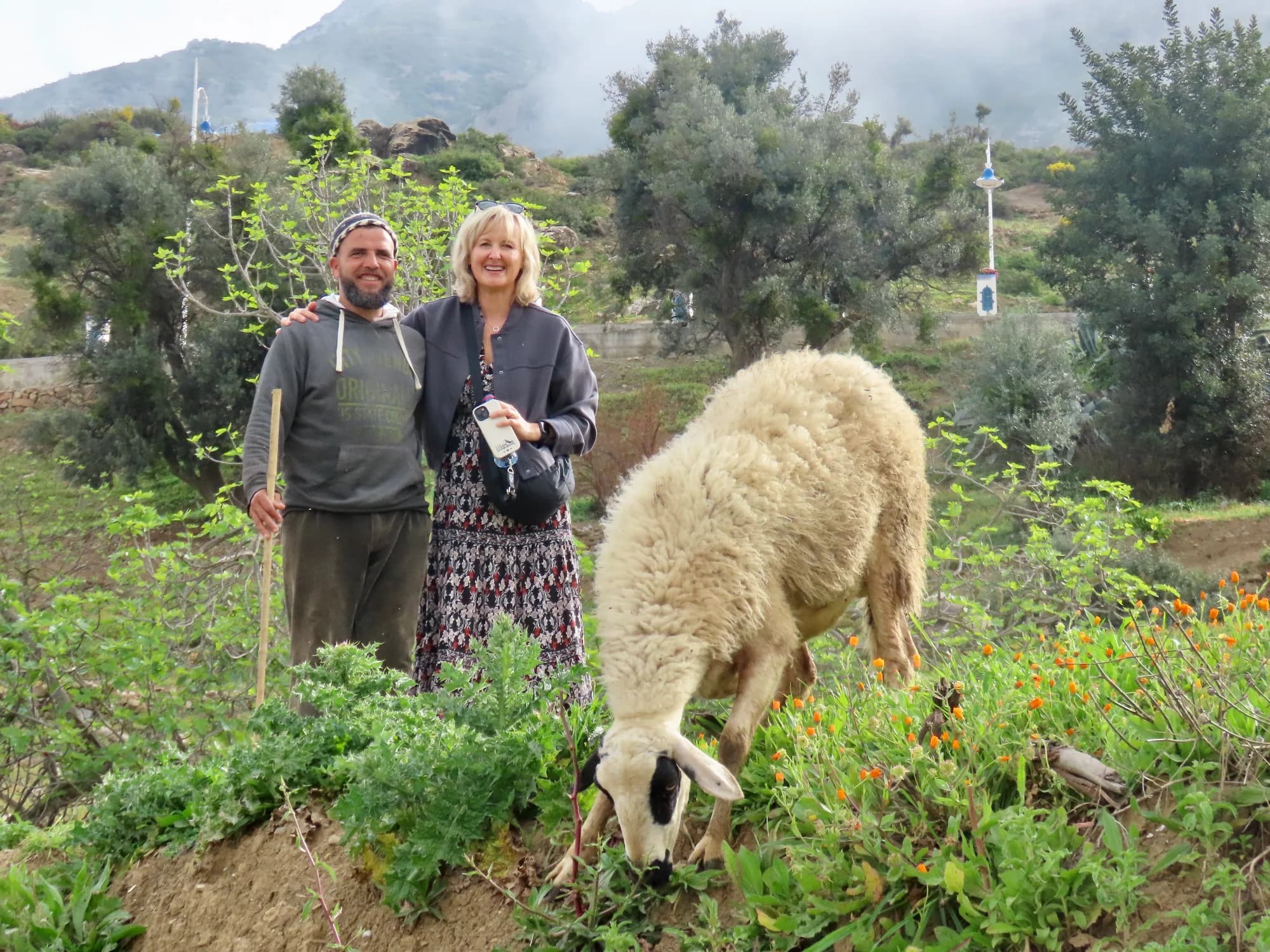 11-Day Morocco Cultural & Desert Adventure from Agadir to Tangier