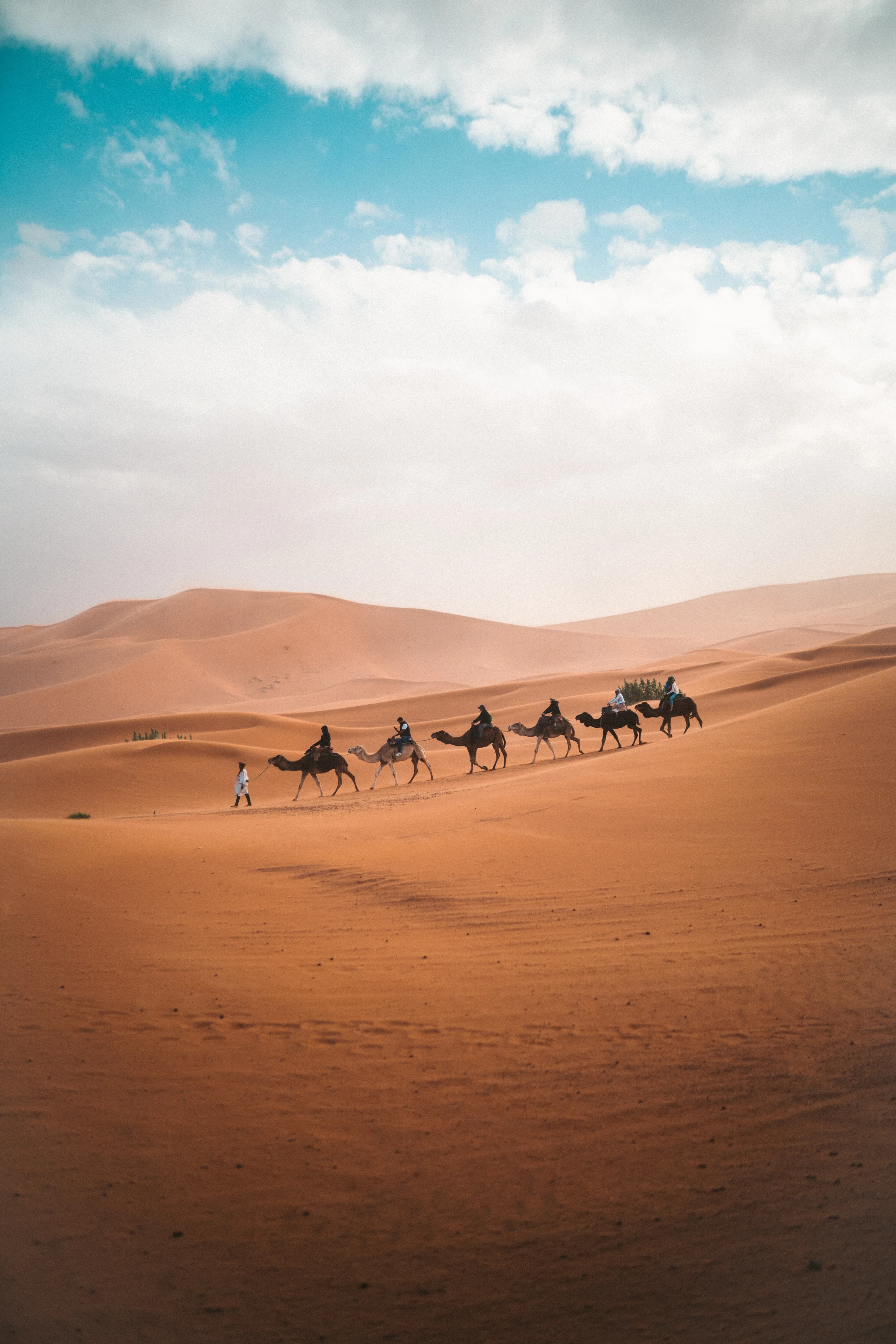 Camel trek in Erg Chigaga — private Morocco desert tour with MSITravels
