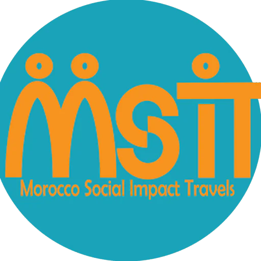 MSITravels Logo